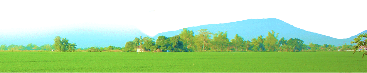 home-banner2